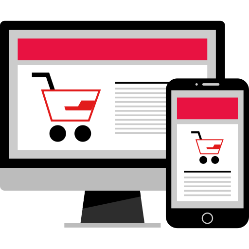 Ecommerce Seo